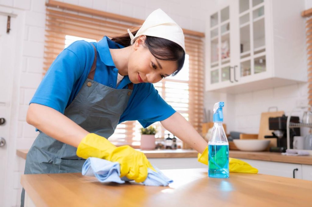 lady cleaning a house